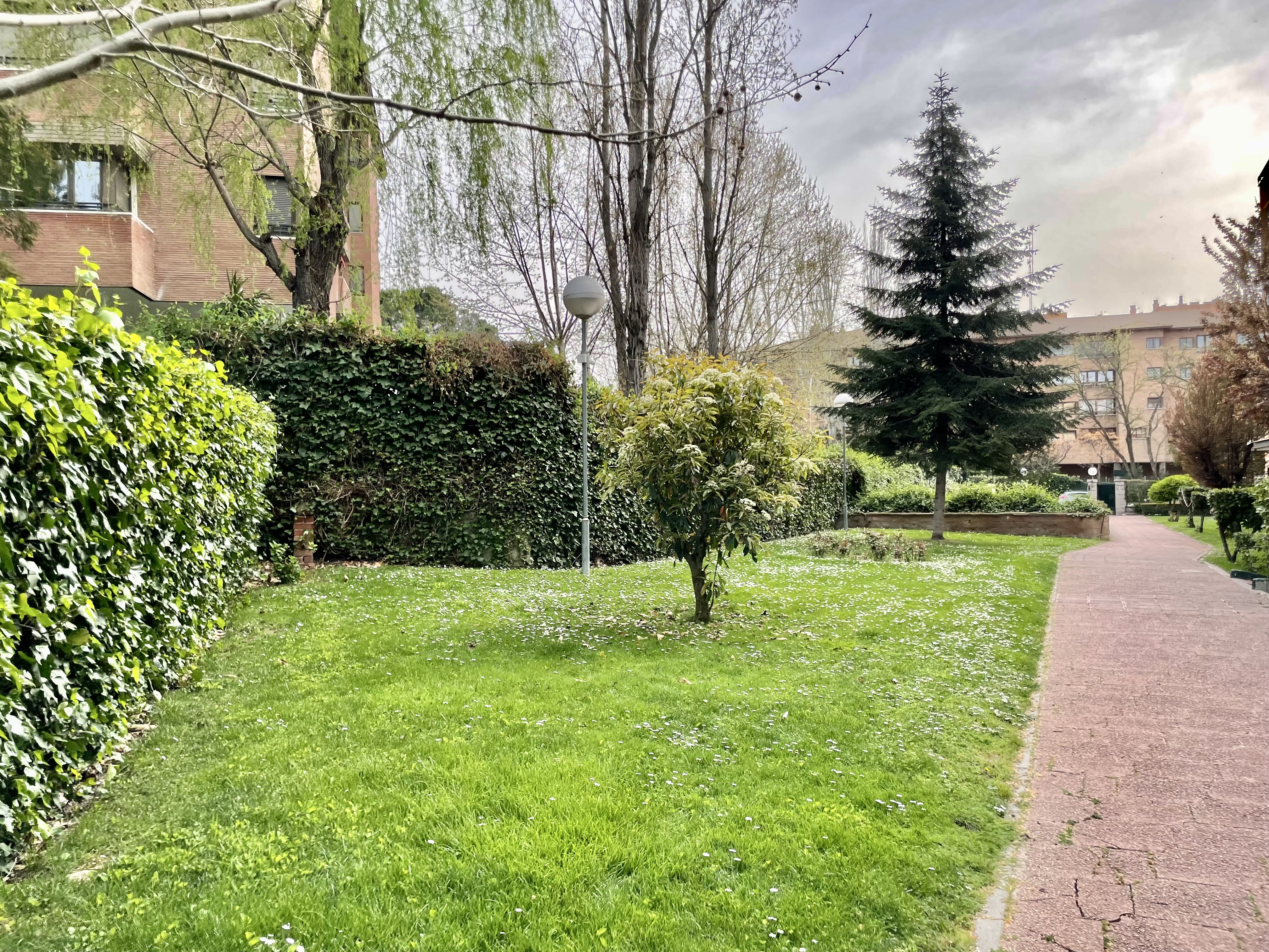 Calle - Proyecto Nuria